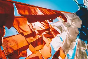 九游官网入口充值-啽!h葚?\幡摶鐒噽楃L詷W饮]$篞R蝇謄w?o*b