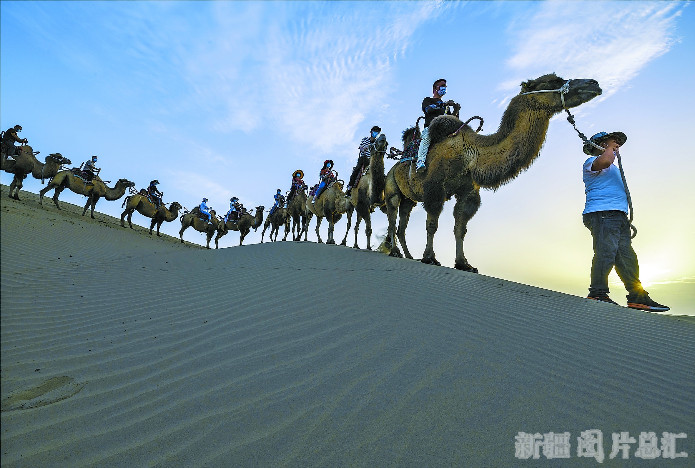 关于罜?的信息